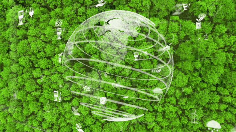 Donna Lee in Trellis: Cheap isn’t always a bad thing when it comes to carbon credits